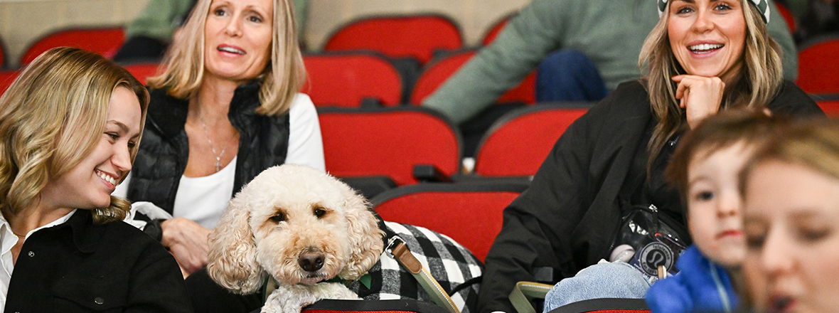 IOWA WILD ANNOUNCES PUCKS ‘N’ PAWS DAY ON MARCH 23 